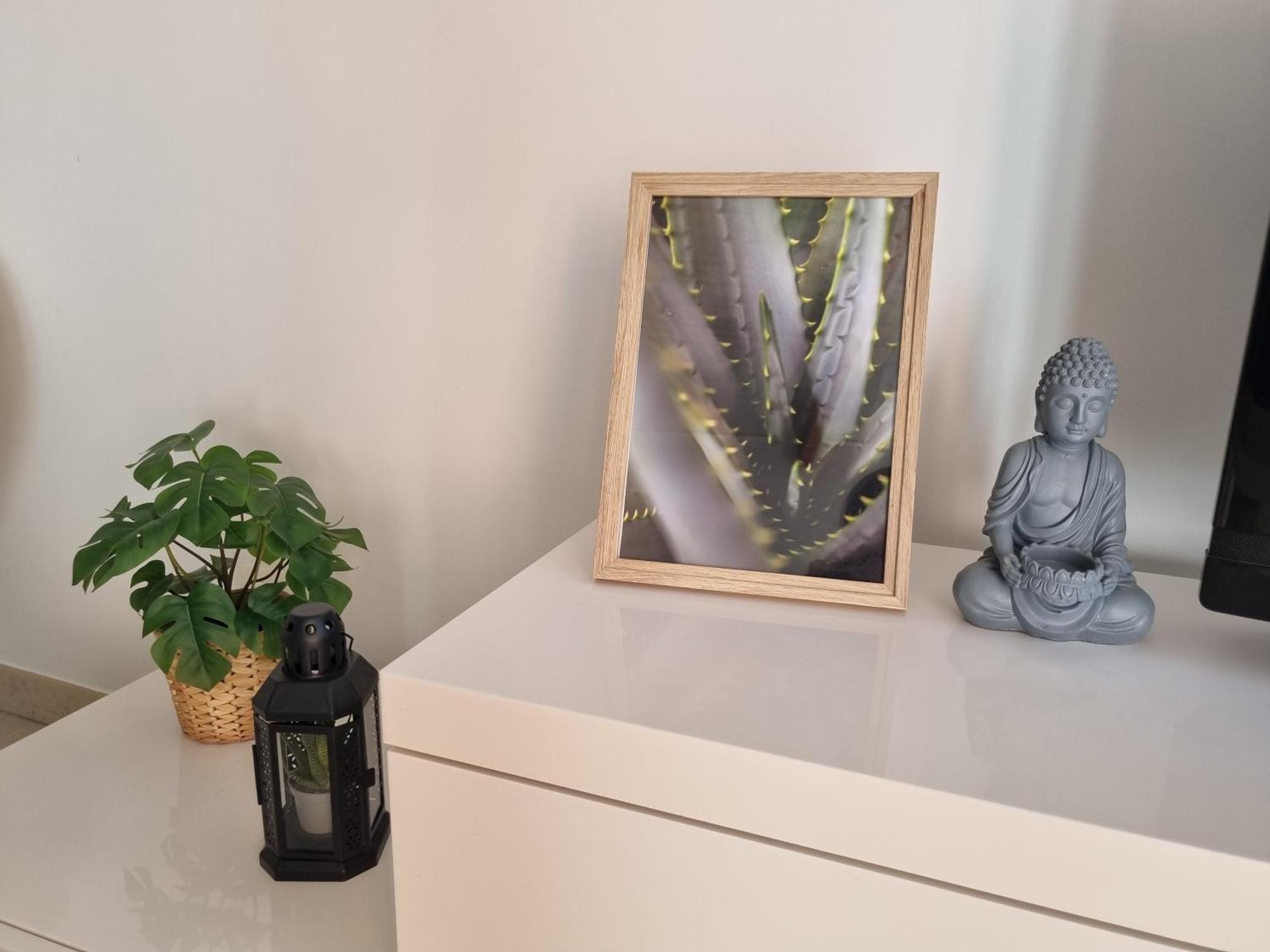 Cameos - Appartement Avec Terrasse Locairbi Le Crès Extérieur photo